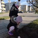 Dzieci sadzą cebulkę żonkila
