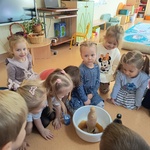 Grupa dzieci wykonuje eksperymenty