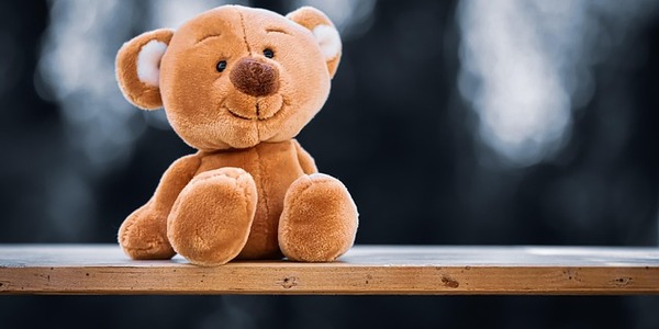 teddy-5119454_640.jpg
