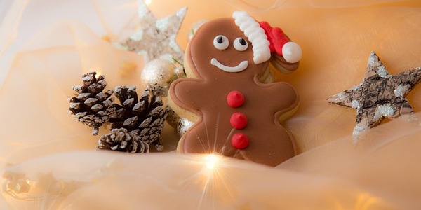 christmas-3011119_640.jpg