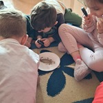 Dziecko ogląda przez lupę zawartość talerzyka
