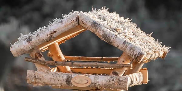 birgl-bird-house-4739268_640.jpg